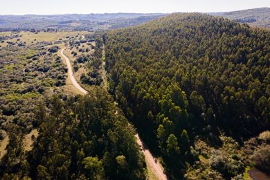 Venta  Maldonado Pueblo Edn