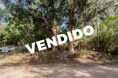 Venta  Maldonado Punta Negra