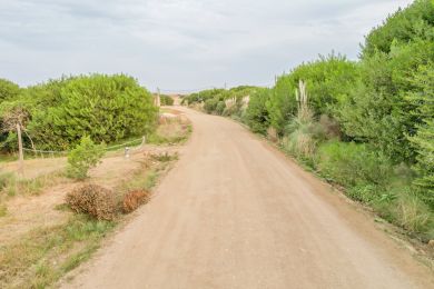 Venta  Maldonado Punta Negra