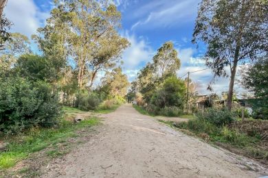 Venta  Maldonado Punta Negra