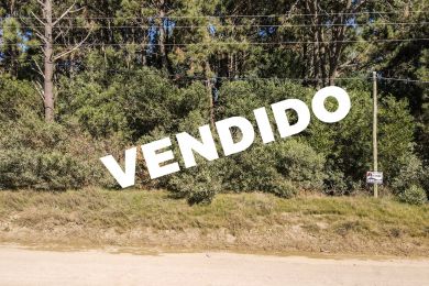 Venta  Maldonado Punta Colorada