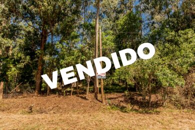 Venta  Maldonado Punta Negra