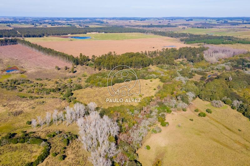 potencial en el área agrícola