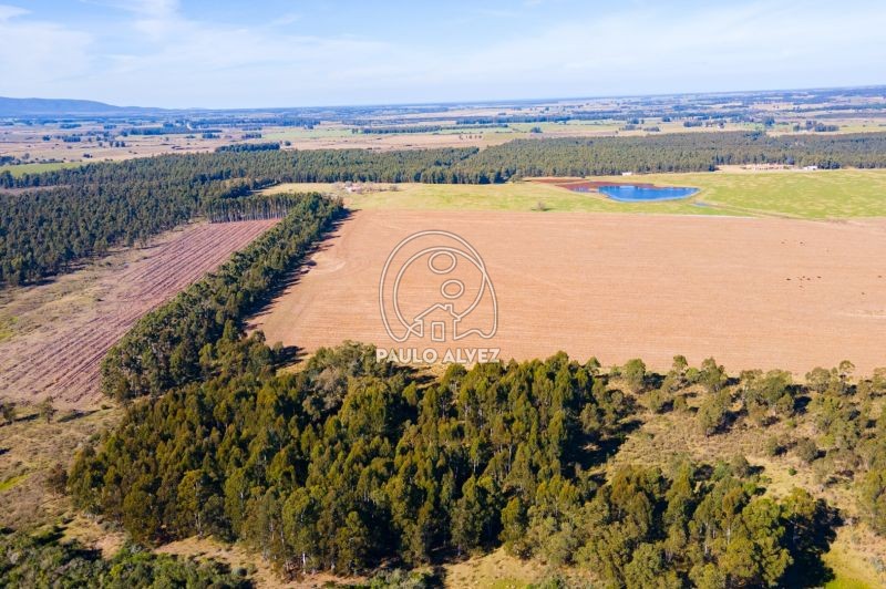 Pozo de agua 