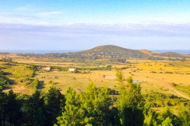 Venta  Maldonado Cerro Pan de Azcar