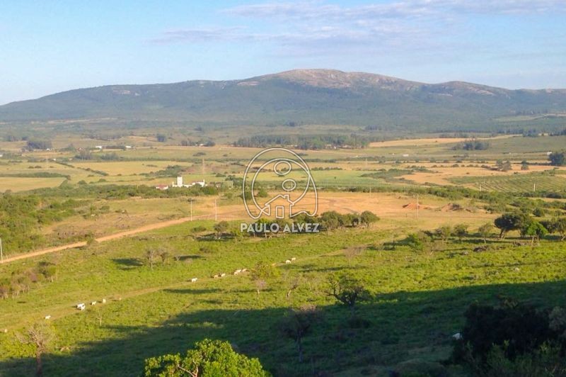 Entorno rodeado de naturaleza 