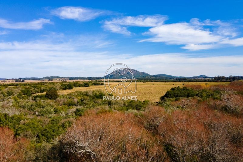 Vista a las sierras de las animas 