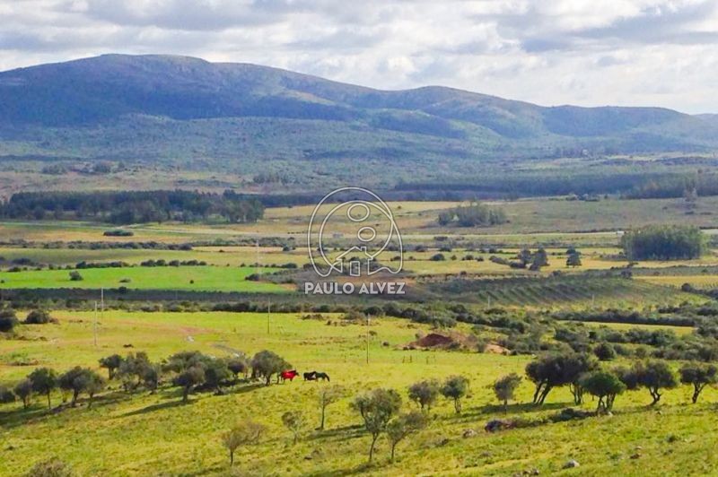 Cerro pan de azucar