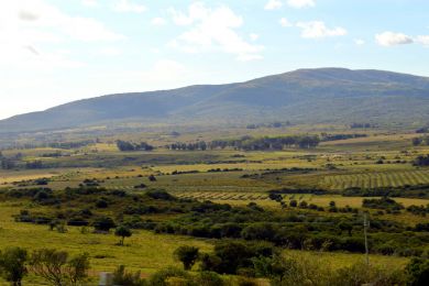 Venta  Maldonado Cerro Pan de Azcar