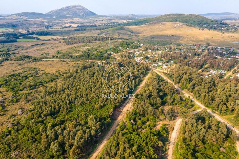 Vista al cerro 