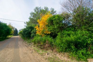 Venta  Maldonado Playa Hermosa