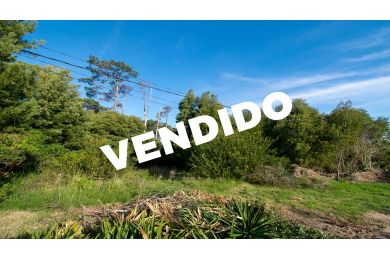 Venta  Maldonado Piripolis